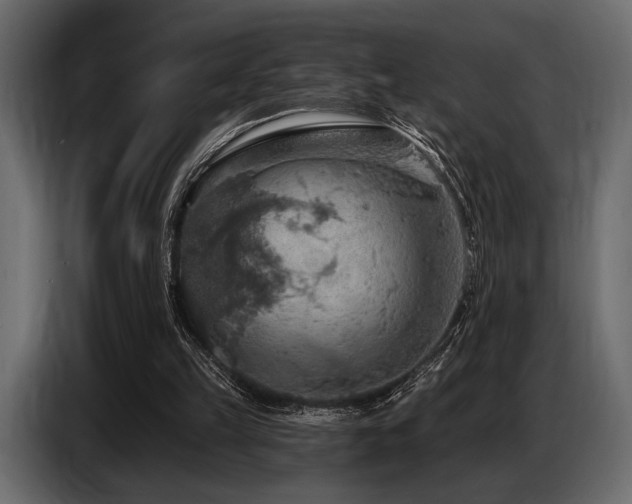 X0000087740149200705071100