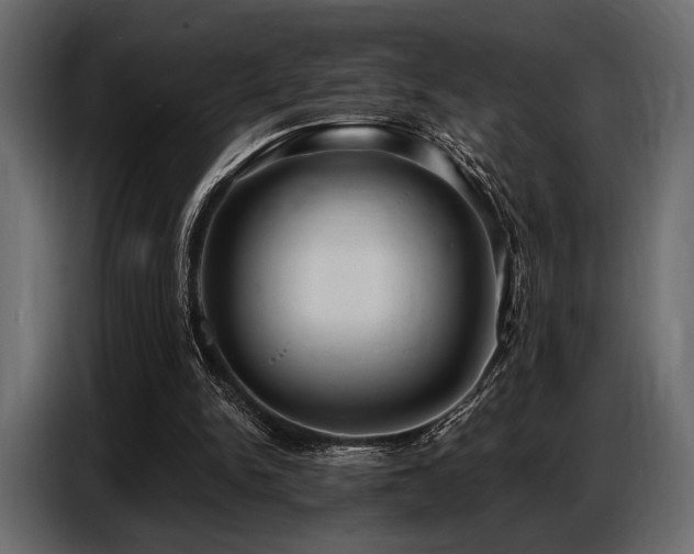 X0000087740150200705071100