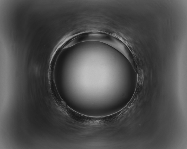 X0000087740152200705071100