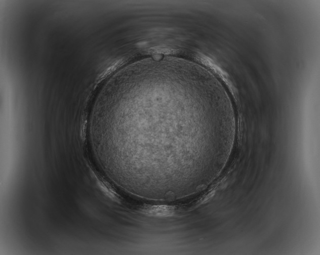 X0000087740153200705071100