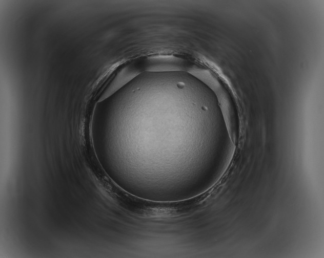 X0000087740154200705071100