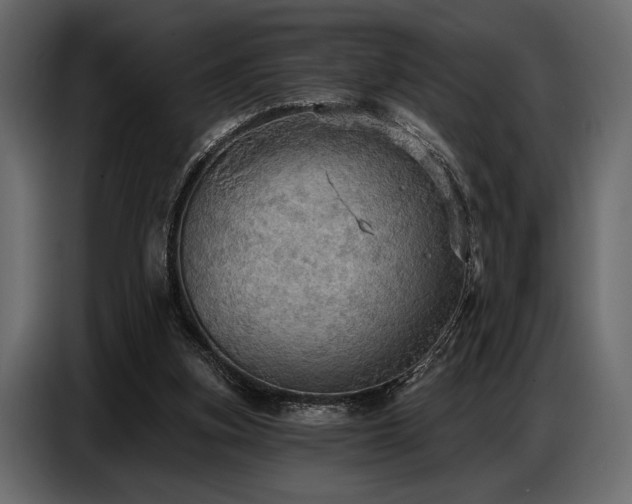 X0000087740155200705071100