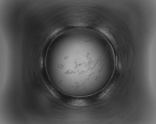 X0000087740157200705071100