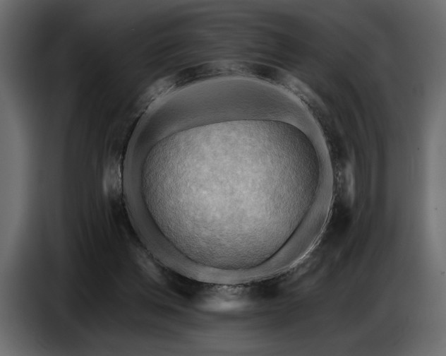 X0000087740158200705071100