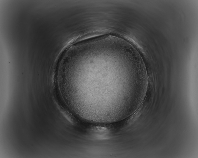 X0000087740159200705071100