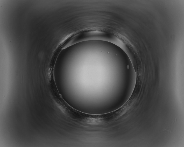 X0000087740160200705071100