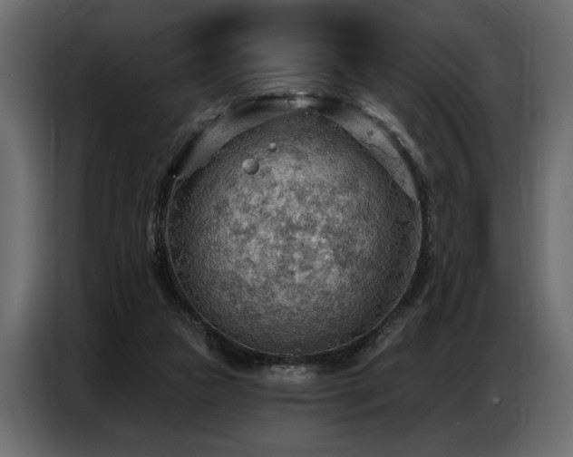 X0000087740161200705071100