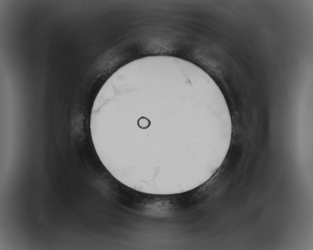 X0000087740162200705071100