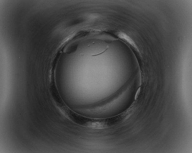 X0000087740163200705071100
