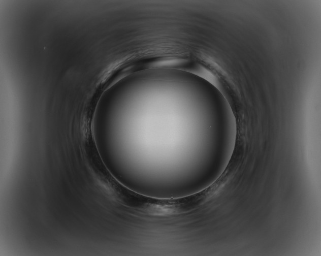 X0000087740164200705071100