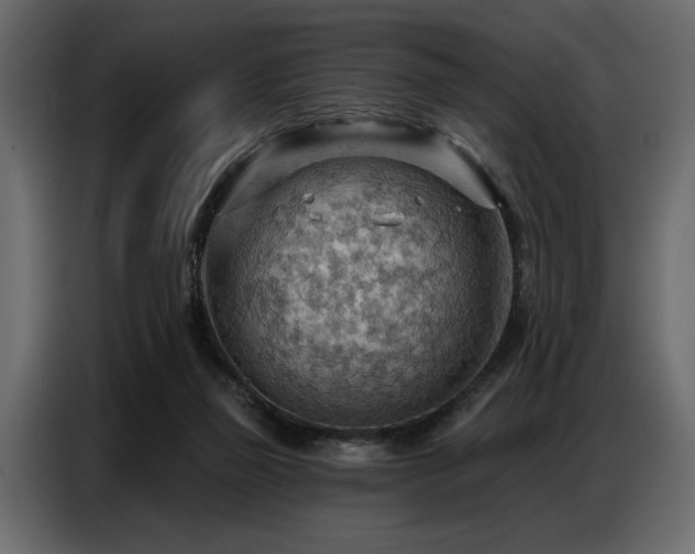 X0000087740165200705071100