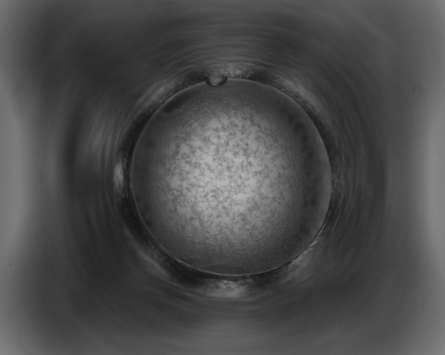X0000087740166200705071100