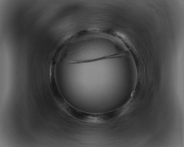 X0000087740167200705071100