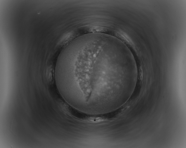 X0000087740169200705071100