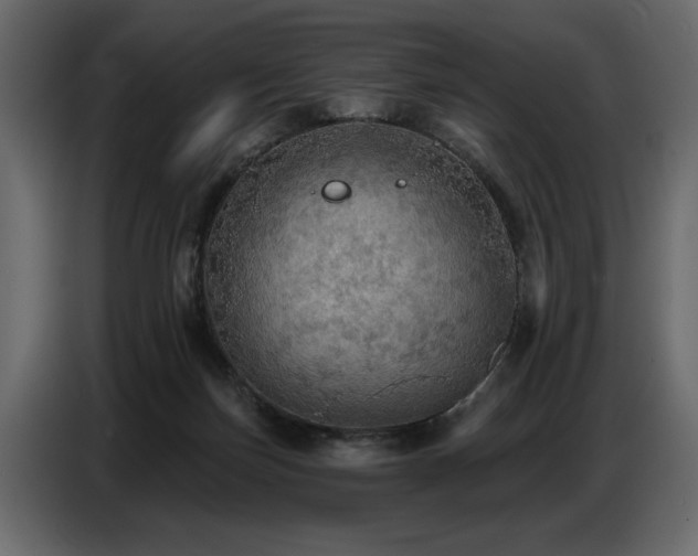 X0000087740171200705071100