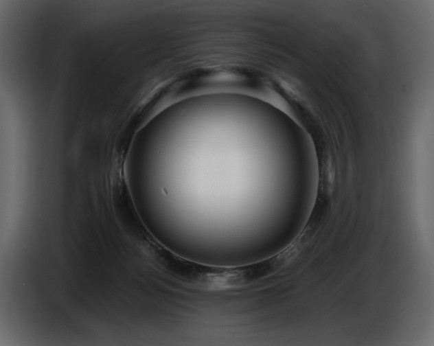 X0000087740172200705071100