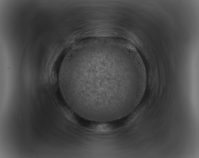 X0000087740173200705071100