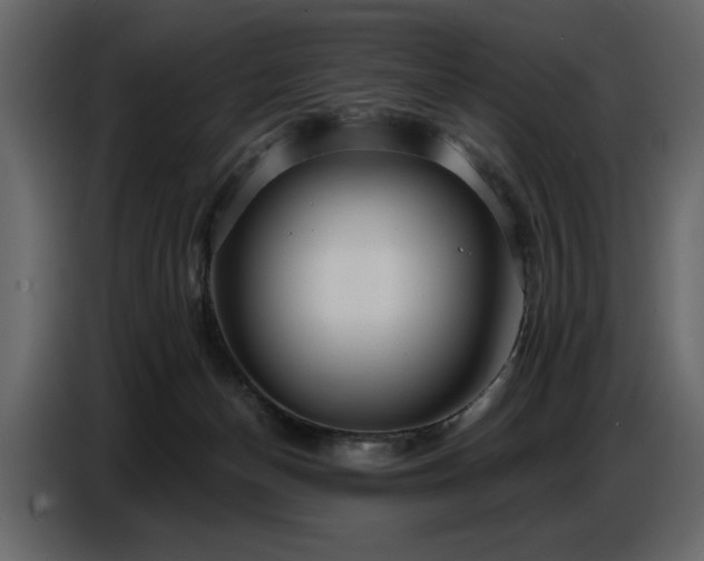 X0000087740174200705071100