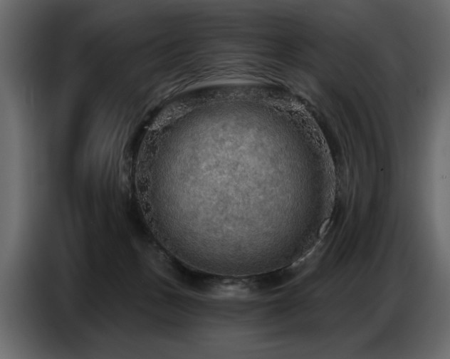 X0000087740175200705071100