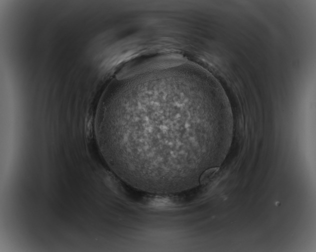 X0000087740177200705071100