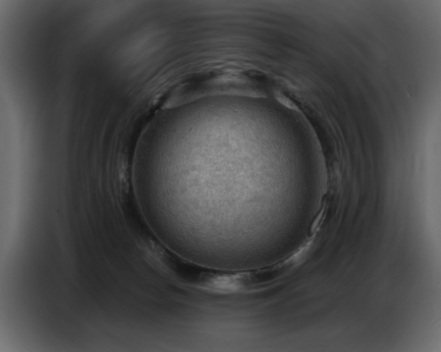 X0000087740178200705071100
