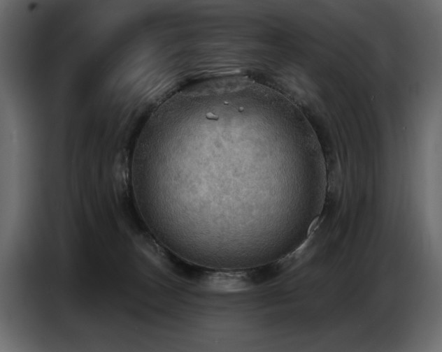 X0000087740179200705071100