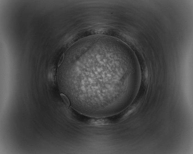 X0000087740181200705071100
