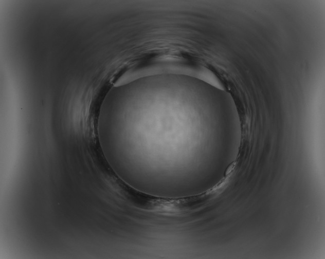 X0000087740182200705071100