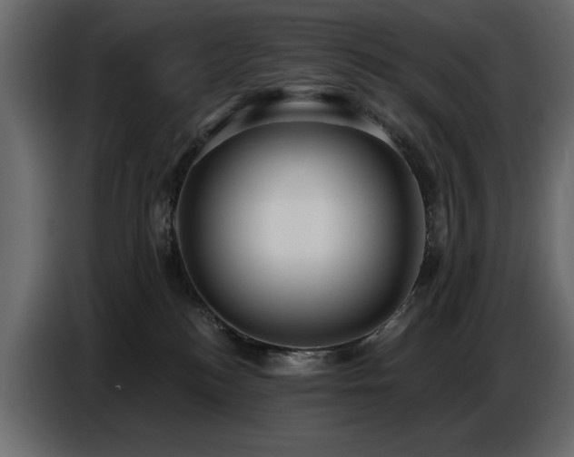 X0000087740184200705071100