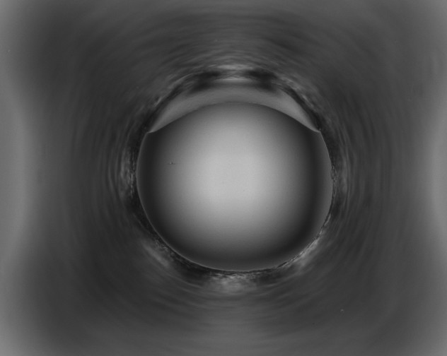 X0000087740186200705071100
