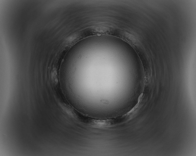 X0000087740187200705071100