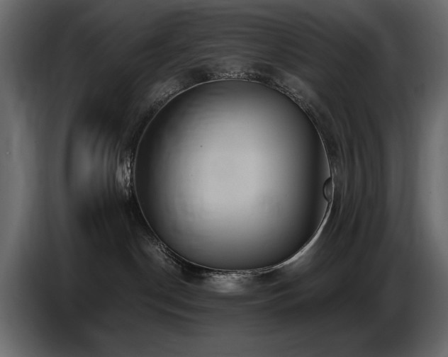X0000087740190200705071100