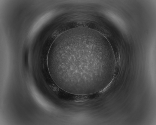 X0000087740191200705071100