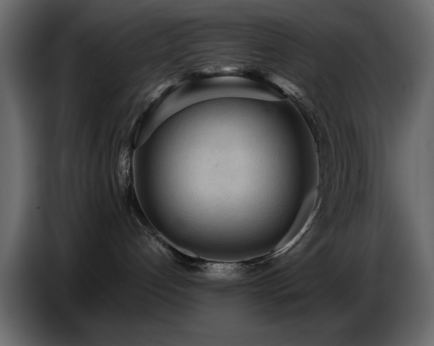 X0000087740192200705071100