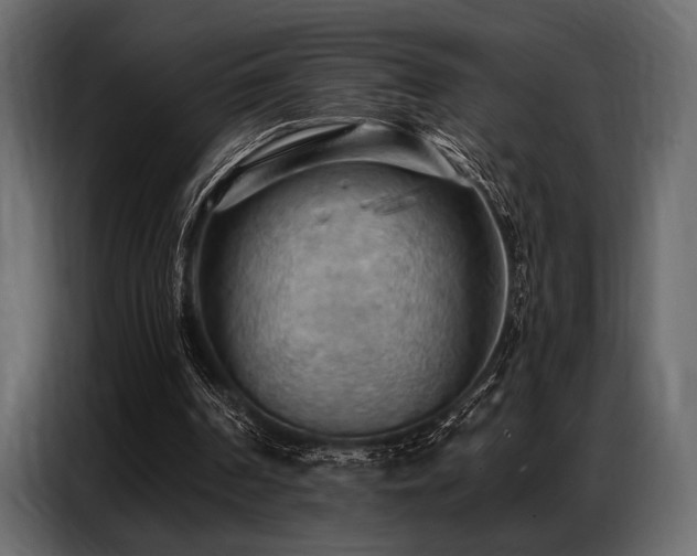 X0000087740194200705071100