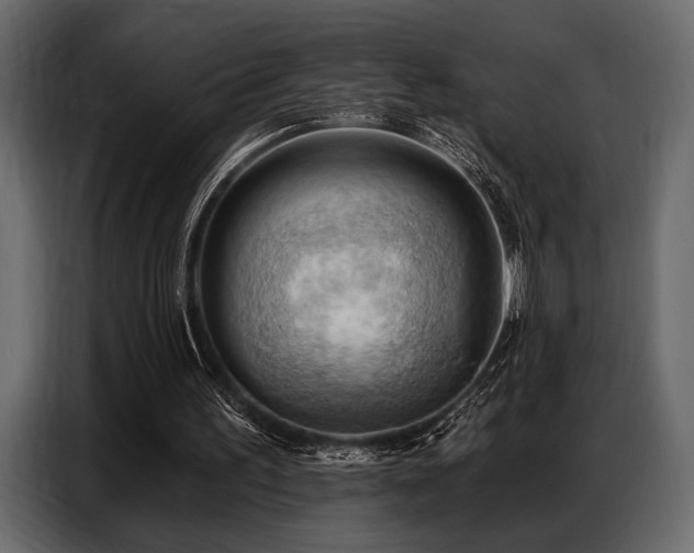 X0000087740195200705071100