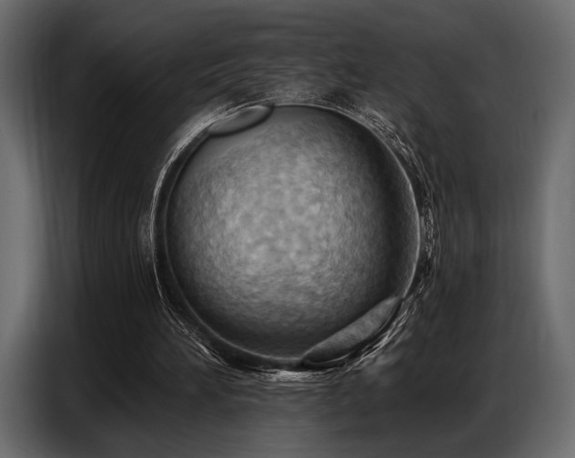 X0000087740196200705071100