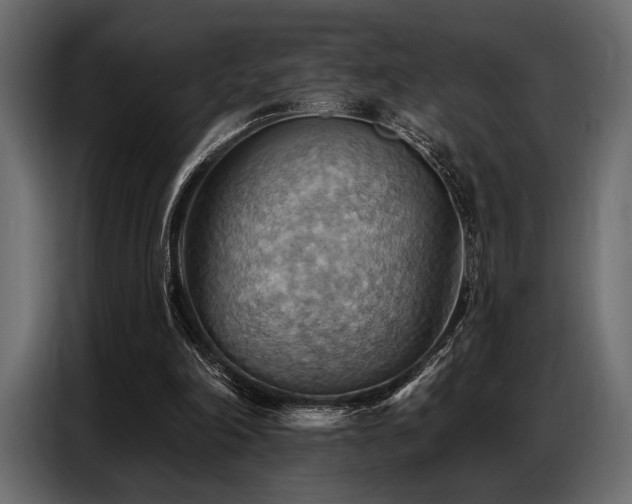 X0000087740198200705071100