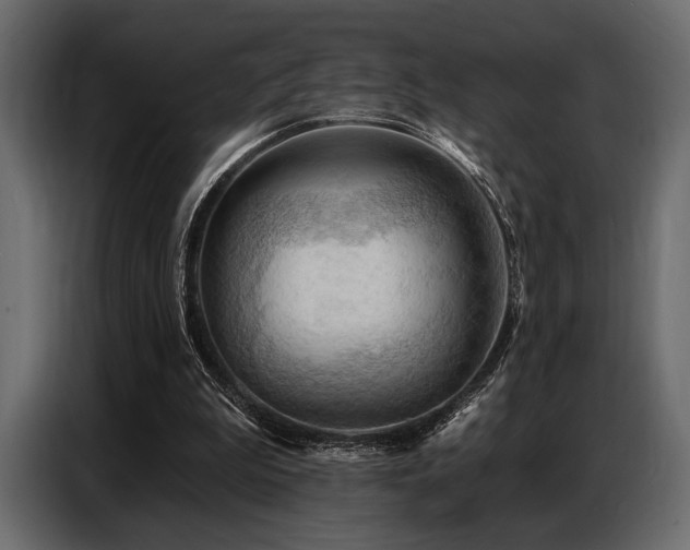 X0000087740199200705071100