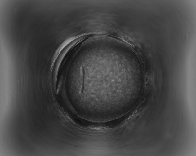 X0000087740200200705071100