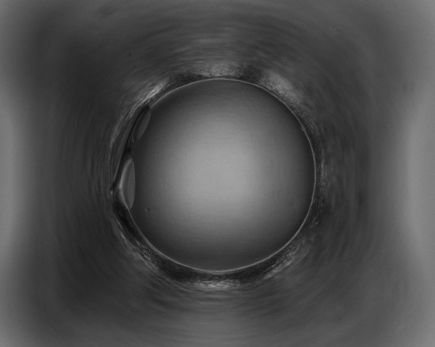 X0000087740202200705071100