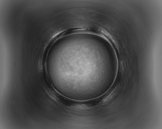 X0000087740203200705071100