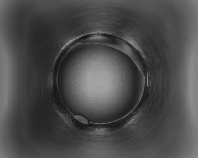 X0000087740204200705071100