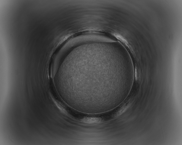 X0000087740205200705071100