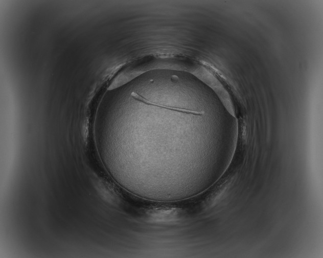 X0000087740206200705071100