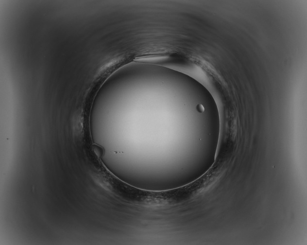X0000087740207200705071059