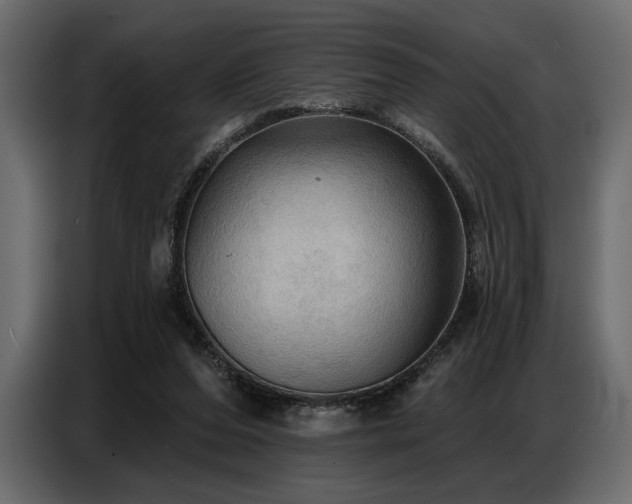X0000087740208200705071059