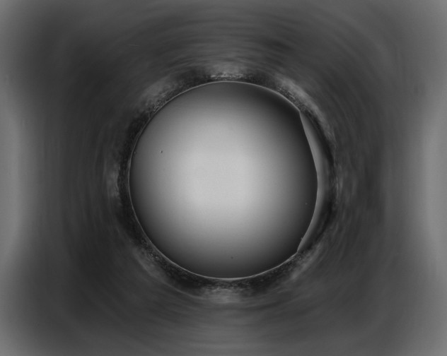 X0000087740209200705071059