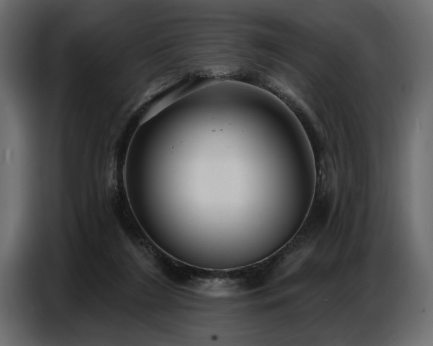 X0000087740212200705071059