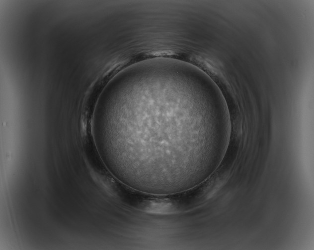 X0000087740214200705071059